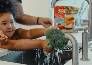 Самые популярные кухонные комбайны для дома