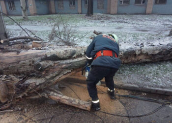 У Запоріжжі негода повалила дерева та знеструмила частину домівок — подробиці  | Новости Запорожья