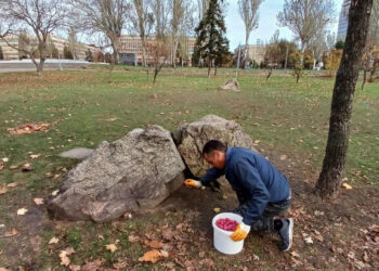 У Запоріжжі почали боротися з гризунами по місту — подробиці  | Новости Запорожья