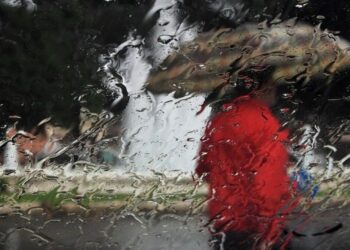 У Запоріжжі прогнозують сильний вітер і дощ — подробиці від синоптиків | Новости Запорожья