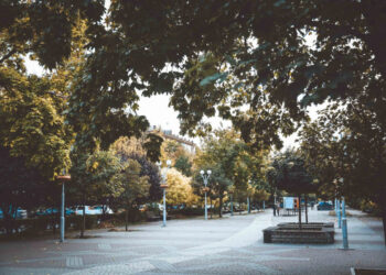 У Запоріжжі синоптики зафіксували нові температурні рекорди — деталі від гідрометцентру | Новости Запорожья