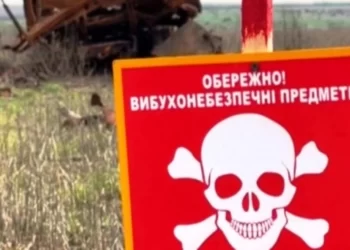 Відновлення сільського господарства на Херсонщині можливо лише після повної деокупації області