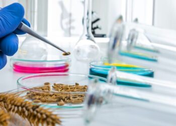 Наукові аграрні інститути України отримали допомогу від Японії – ЭКОНОМИКА