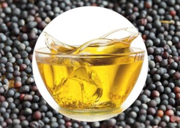 Експорт ріпакової олії побив рекорд – ЭКОНОМИКА