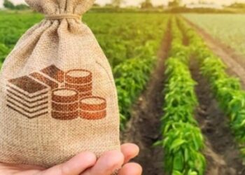 Дотації аграріям Львівщини сягнули рекорду – ЭКОНОМИКА