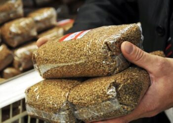 Українці формують значний попит на гречку в Європі – ЭКОНОМИКА