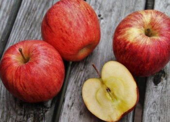 В Україні стрімко дорожчає логістика яблук: причини – ЭКОНОМИКА