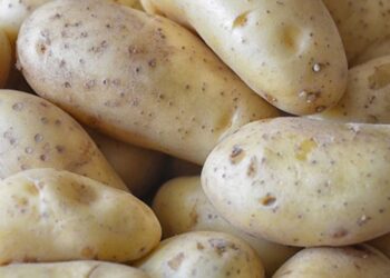 У Молдові рекордно подорожчала картопля через блокаду України – ЭКОНОМИКА