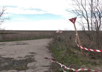 Названо площу розмінованих сільгоспугідь – ЭКОНОМИКА