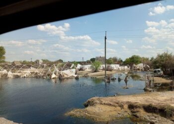 Як живе Олешківська громада: розмова з начальницею МВА Тетяною Гасаненко — Херсон