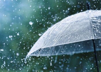 Якою буде погода у Запоріжжі — прогноз від синоптиків  | Новости Запорожья