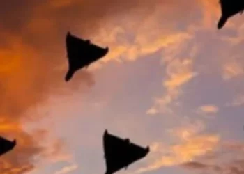 На Херсонщині українські військові знищили три російських безпілотники