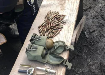 Поліціянти викрили херсонця, який привіз на Закарпаття гранати та боєприпаси