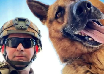 Службовий собака Нацгвардії з Херсону отримав державну відзнаку