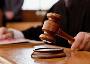 Суд виніс вирок у справі псевдопосадовиці з Херсонщини