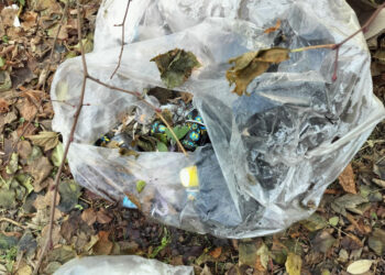 У Запоріжжі перевірили власників магазину — подробиці від інспекції з благоустрою  | Новости Запорожья