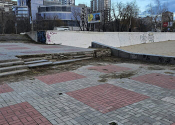 У Запоріжжі прибрали пішохідну зону біля Центрального пляжу — допоміг розголос у соцмережах | Новости Запорожья