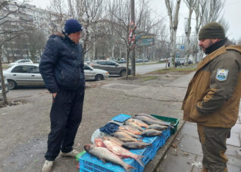 У Запоріжжі виявили місця продажу риби без документів — подробиці  | Новости Запорожья