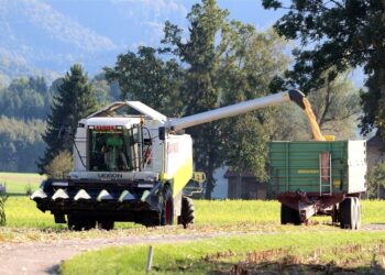 Україна з початку року продала на зовнішні ринки агропродукції на $19,6 млрд – Экономика