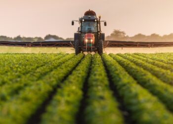 Українські аграрії цьогоріч залучили майже 70 мільярдів кредитів – Экономика