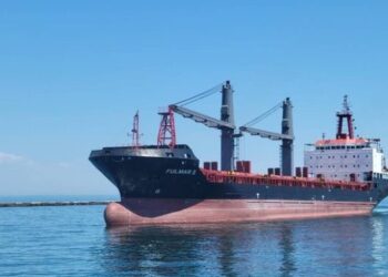 Державний банк почав страхувати судна у Чорному морі – ЭКОНОМИКА