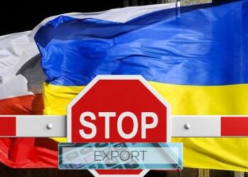 У Польщі заявили, що ембарго на українську агропродукцію безстрокове – ЭКОНОМИКА