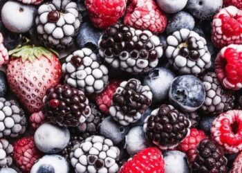 ЄС закупив 80% продукції українського садівництва – ЭКОНОМИКА