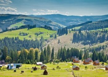 На Прикарпатті викрито схему привласнення понад 670 тис грн бюджетних коштів – ЭКОНОМИКА