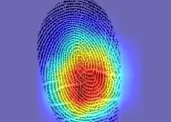 AI виявляє, що не кожен відбиток пальця унікальний — ТЕХНОЛОГИИ