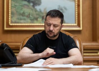 Зеленський підписав закон про криміналізацію контрабанди – ЭКОНОМИКА