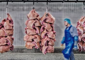 ДБР Львівщини розслідує справу про ухилення від мобілізації на м’ясопереробних заводах – ЭКОНОМИКА