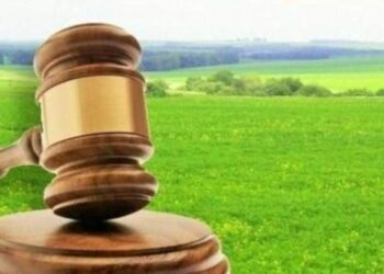 На Львівщині відбудуться електронні торги з продажу земельних ділянок – ЭКОНОМИКА