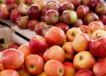 В Україні стрімко подорожчали яблука – ЭКОНОМИКА
