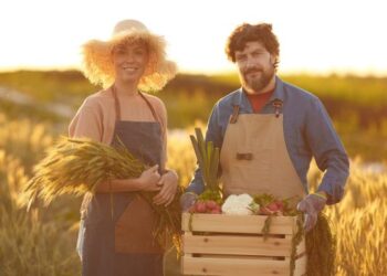 Уряд продовжив на рік кредити з держпідтримкою для аграріїв – ЭКОНОМИКА