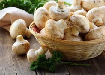  В Україні подорожчали печериці – ЭКОНОМИКА