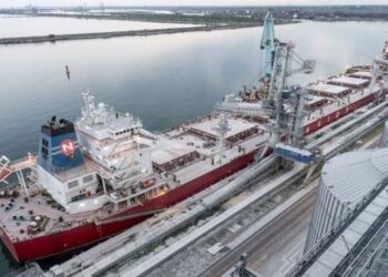 Порт Констанца не зможе більше нарощувати перевалку зерна  – ЭКОНОМИКА