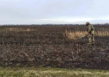 На Херсонщині планують розмінувати найбільше земель аграрного призначення згідно з планами уряду