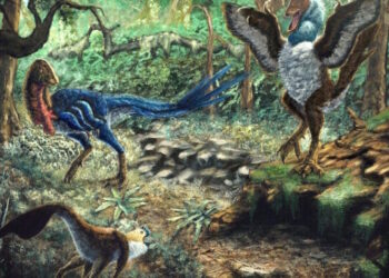 Палеонтологи описали нових динозаврів і назвали їх курками з пекла – Экономика