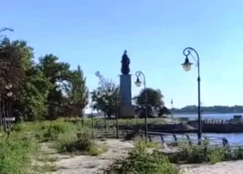 Сальдо думками замахнувся на територію, що вже не перебуває під контролем РФ