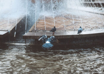 У Запоріжжі 2023 рік став найтеплішим за всю історію спостережень — які температурні рекорди зафіксували синоптики | Новости Запорожья