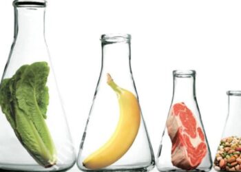 В Україні аграрії використовують вдвічі менше гербіцидів, ніж в Європі – ЭКОНОМИКА