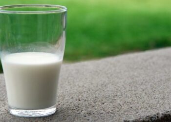 Україна збільшила обсяги виробництва молока у 2023 р – ЭКОНОМИКА