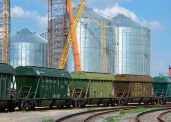 Укрзалізниця встановила рекорд з перевезення зернових – ЭКОНОМИКА