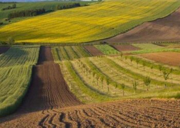 USAID надасть 5,6 млн грн на втілення проєкту із запобігання корупції в сфері земвідносин – ЭКОНОМИКА