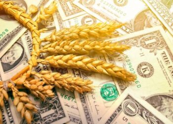 На Одещині успішно борються з тіньовим експортом зерна – ЭКОНОМИКА