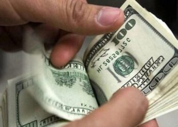 На Буковині депутат вимагав 2500$ за вирішення земельного питання – ЭКОНОМИКА