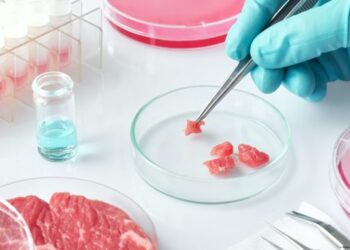 Вчені розробили новий метод вирощування м’яса – ЭКОНОМИКА