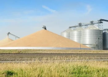 На кордоні з Польщею будують елеватор на 22 000 т – ЭКОНОМИКА