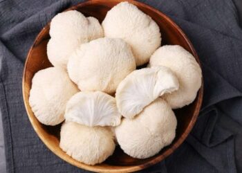 На Київщині виготовляють печиво з рідкісними грибами – ЭКОНОМИКА