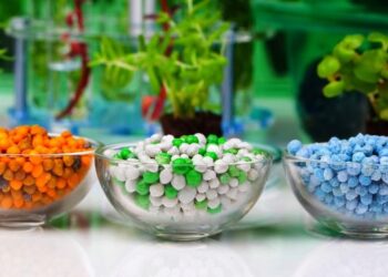 Поставки добрив через митницю починають налагоджуватись – ЭКОНОМИКА